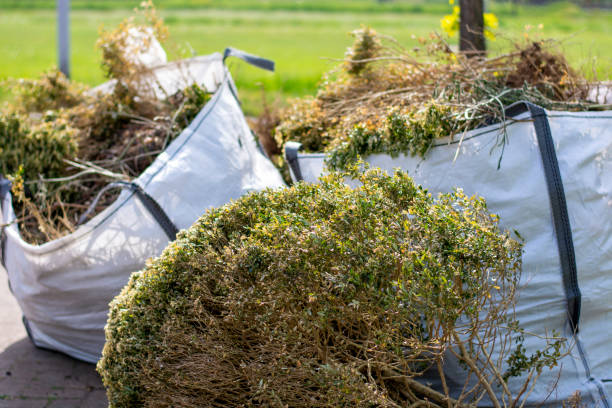 Best Residential Junk Removal  in Morrisville, NY